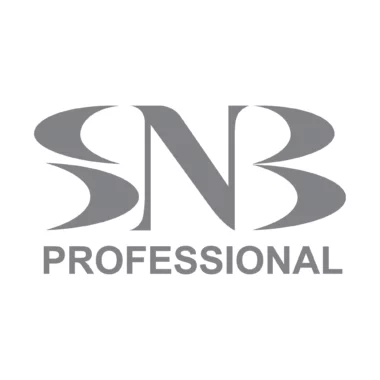 Logo of SNB Professional